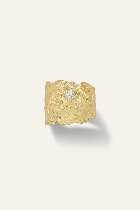 ring ANAE