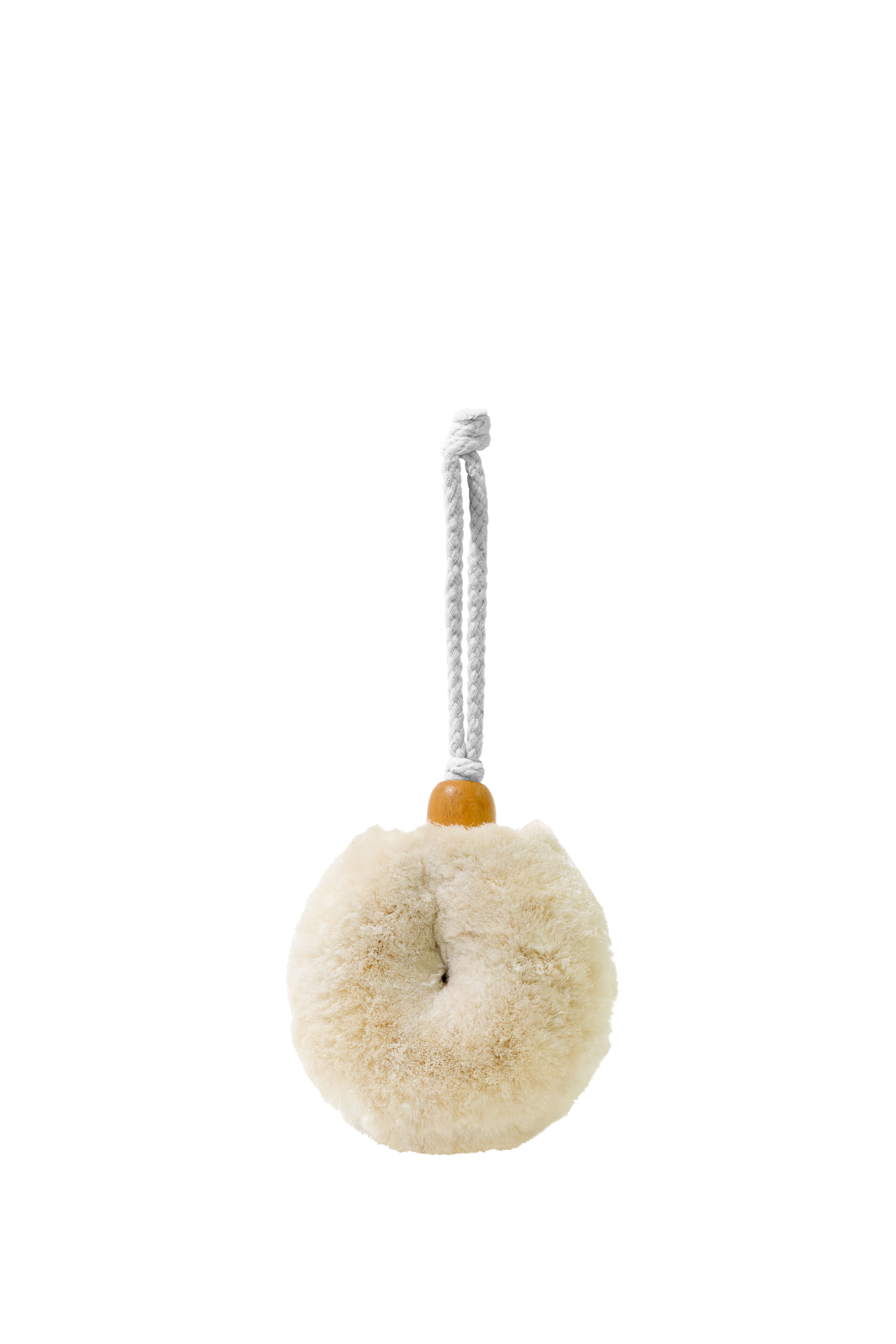 Brush Holidermie