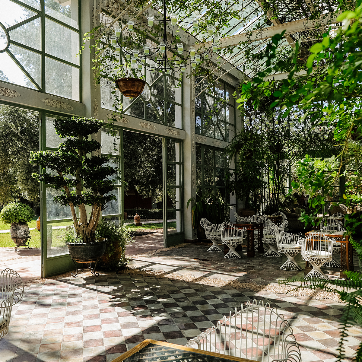 A glass roof filled with trees and plants